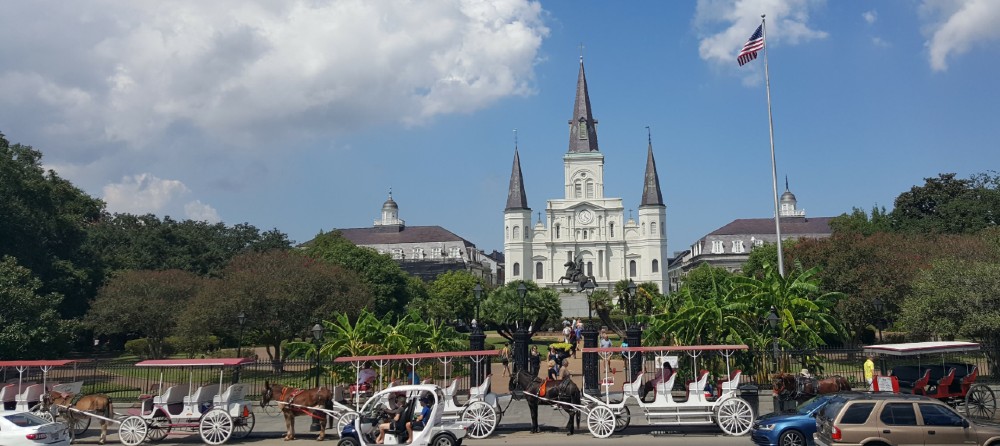 Jackson Square New Orleans Mule carriages